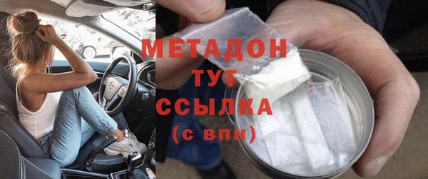 прущие грибы Заволжск