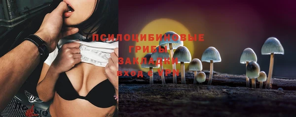 не бодяженный Алексин