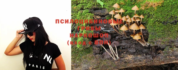 не бодяженный Алексин